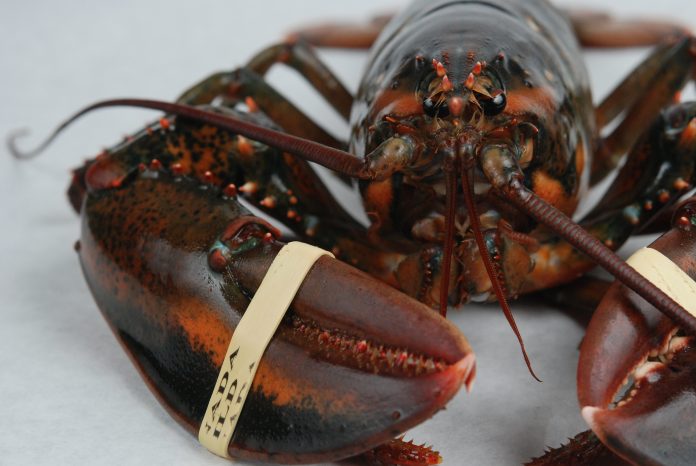 4526186819_6108adce2e_k